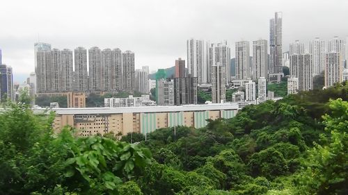 36 ヴィクトリア・ピークからのバス